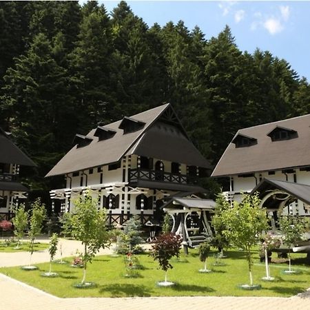 Complex Lions Bucovina Hotel Voroneț Kültér fotó