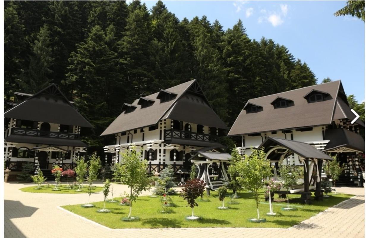 Complex Lions Bucovina Hotel Voroneț Kültér fotó