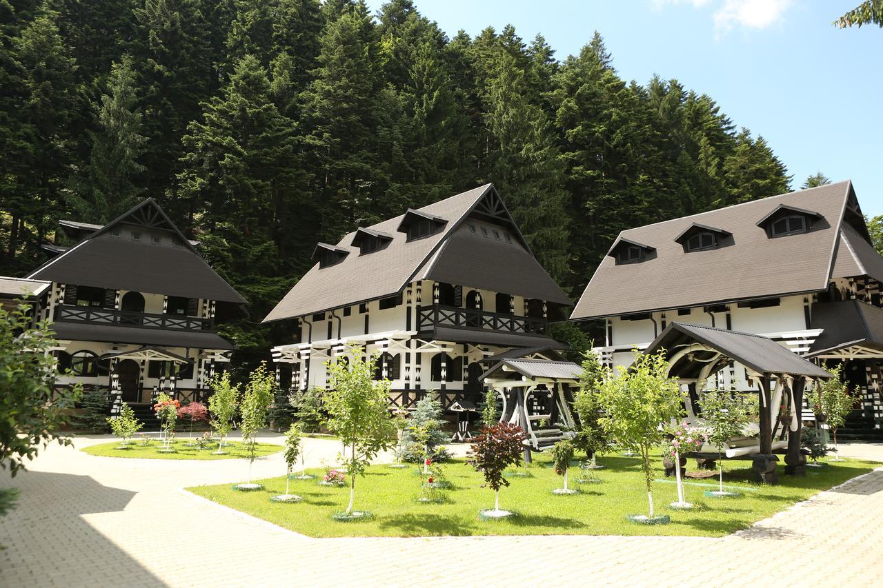 Complex Lions Bucovina Hotel Voroneț Kültér fotó