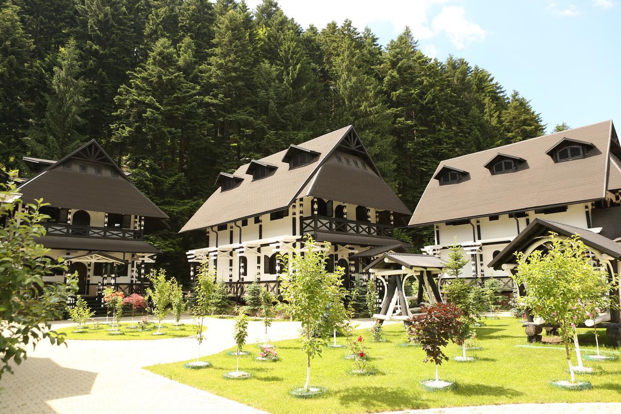 Complex Lions Bucovina Hotel Voroneț Kültér fotó